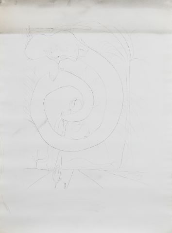 Salvador Dalí (1904-1989) Le Cercle viscéral...