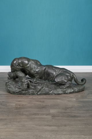 Jaguar dévorant un lièvre