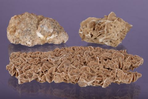 3 roses des sables