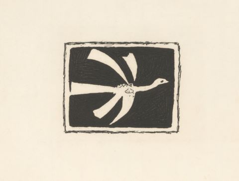 Fleurs & Oiseaux [3 estampes]