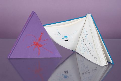 Le Privilège d’être