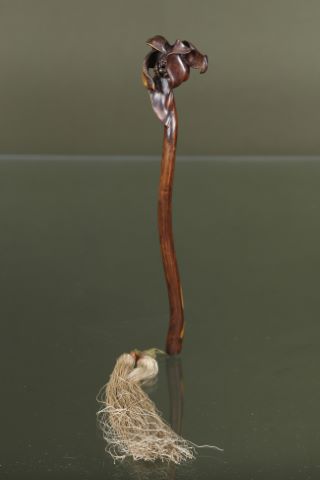 Chine Sceptre ruyi