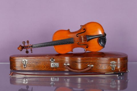 Violon d’étude