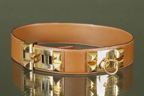 Ceinture collier de chien