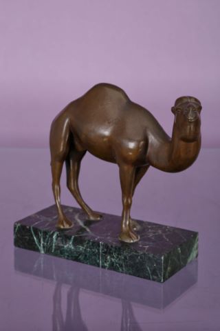 Dromadaire