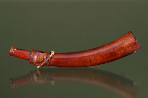 Trompe d’appel