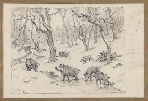Horde de sangliers, cerfs et biches