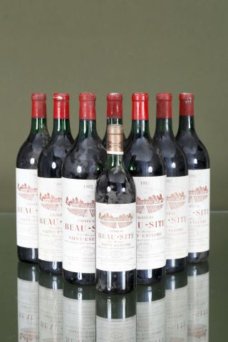 9 magnums + 1 bouteille