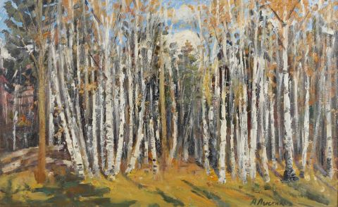 Forêt de bouleaux
