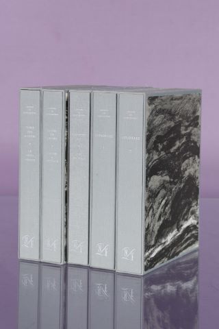 Œuvre romanesque