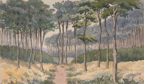 Le Mélinais, paysage des Landes