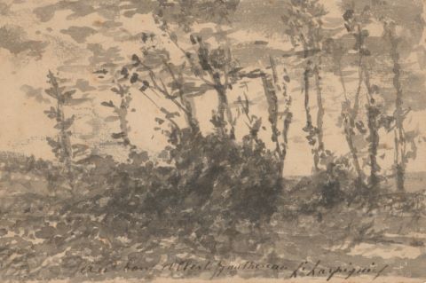 Sous-bois