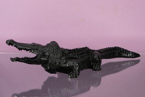 Cloned Black Crocodile