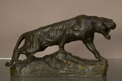 Lionne rugissante